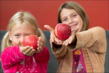 November Apple a Day