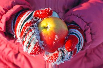January Apple a Day