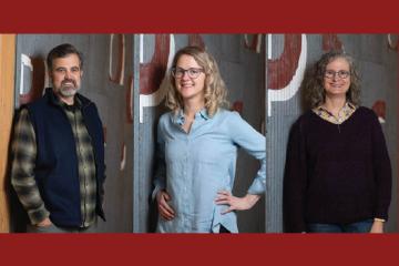 Election Results Announced: Thank You for Your Participation