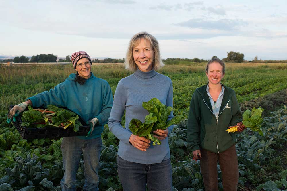 Three Hearts Farm