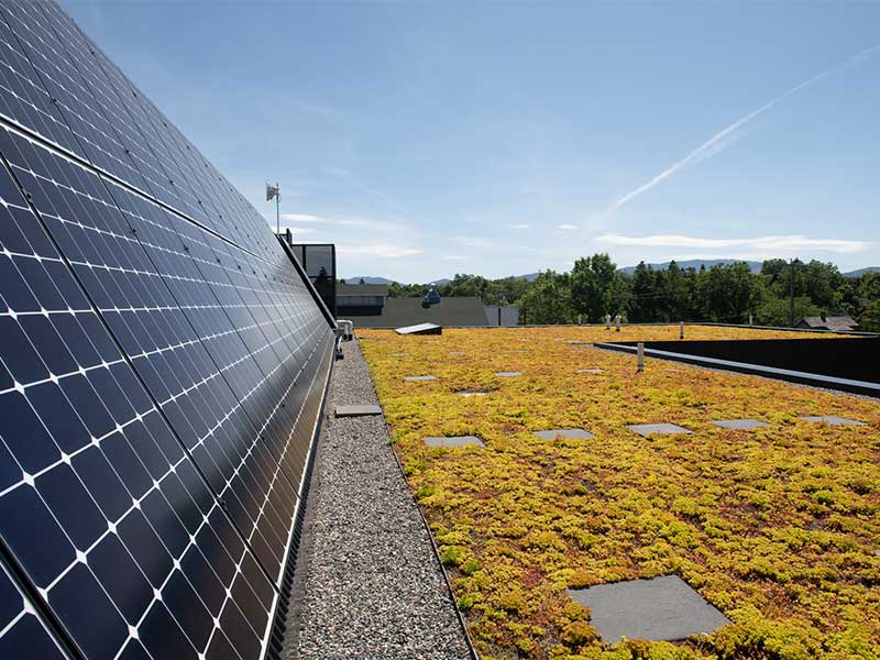 Sustainability